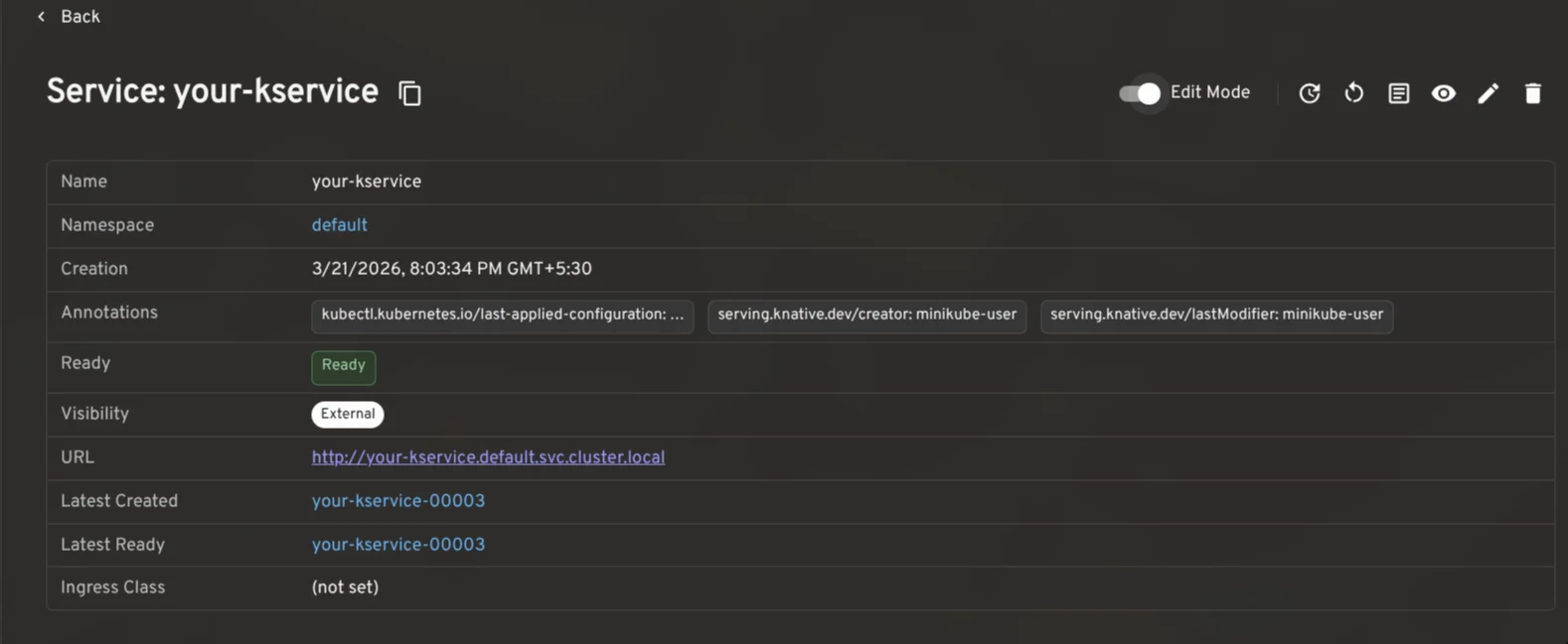 Knative Service Detail View