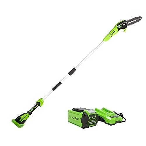 Greenworks PS40B210 Cordless Pole Saw