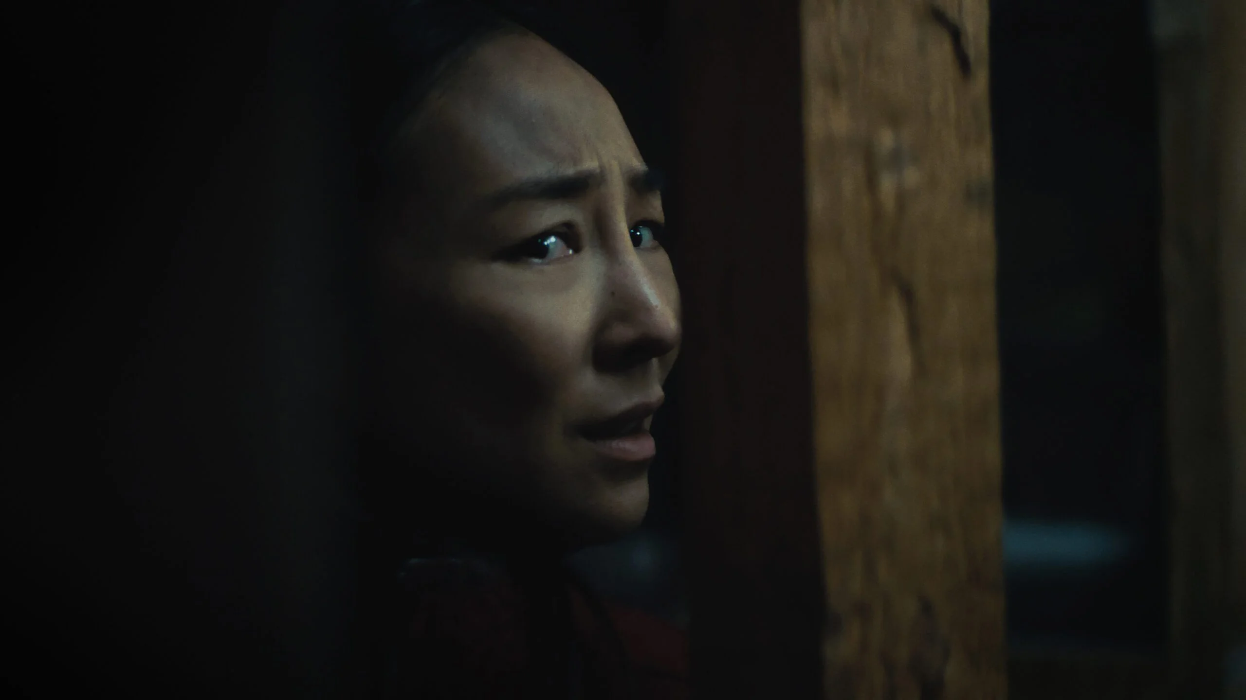 Greta Lee as Ann in The Last House.