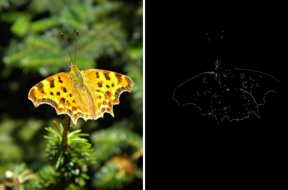 Enhancing Image Analysis with Python Edge Detection