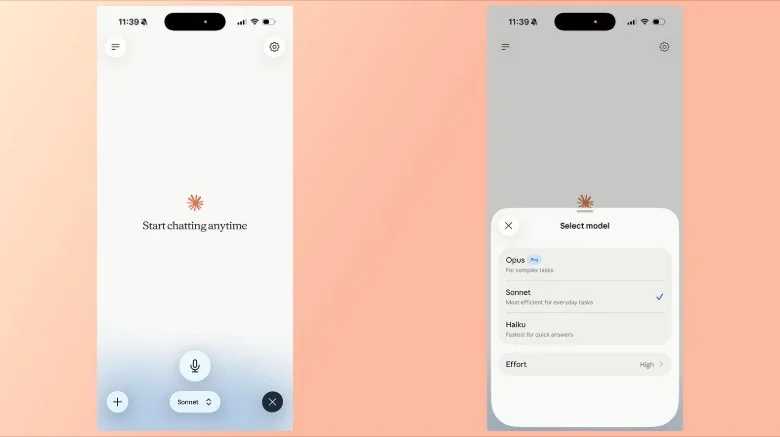 Voice model currently supports Anthropic's Haiku