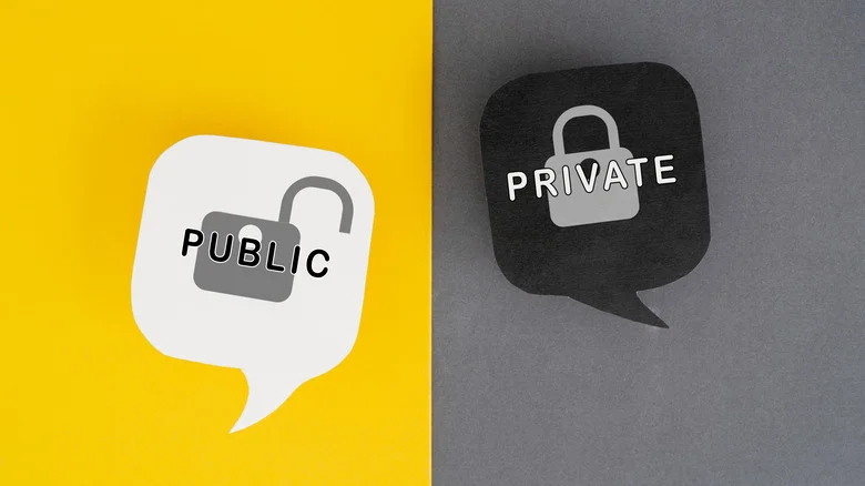 A graphic of Public and Private locks inside bubbles.