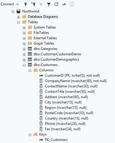 A database tree view showing the Northwind database, with the dbo.Customers table expanded to list its columns and keys.