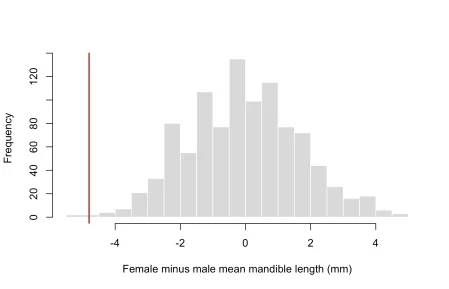Histogram of differences in mean jackal mandible length after shuffling sex labels. The distribution is centred near zero, and a red vertical line marks the observed negative difference in the left tail.