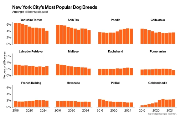 Yorkshire terrier is the most popular breed. Goldendoodles are on the rise.