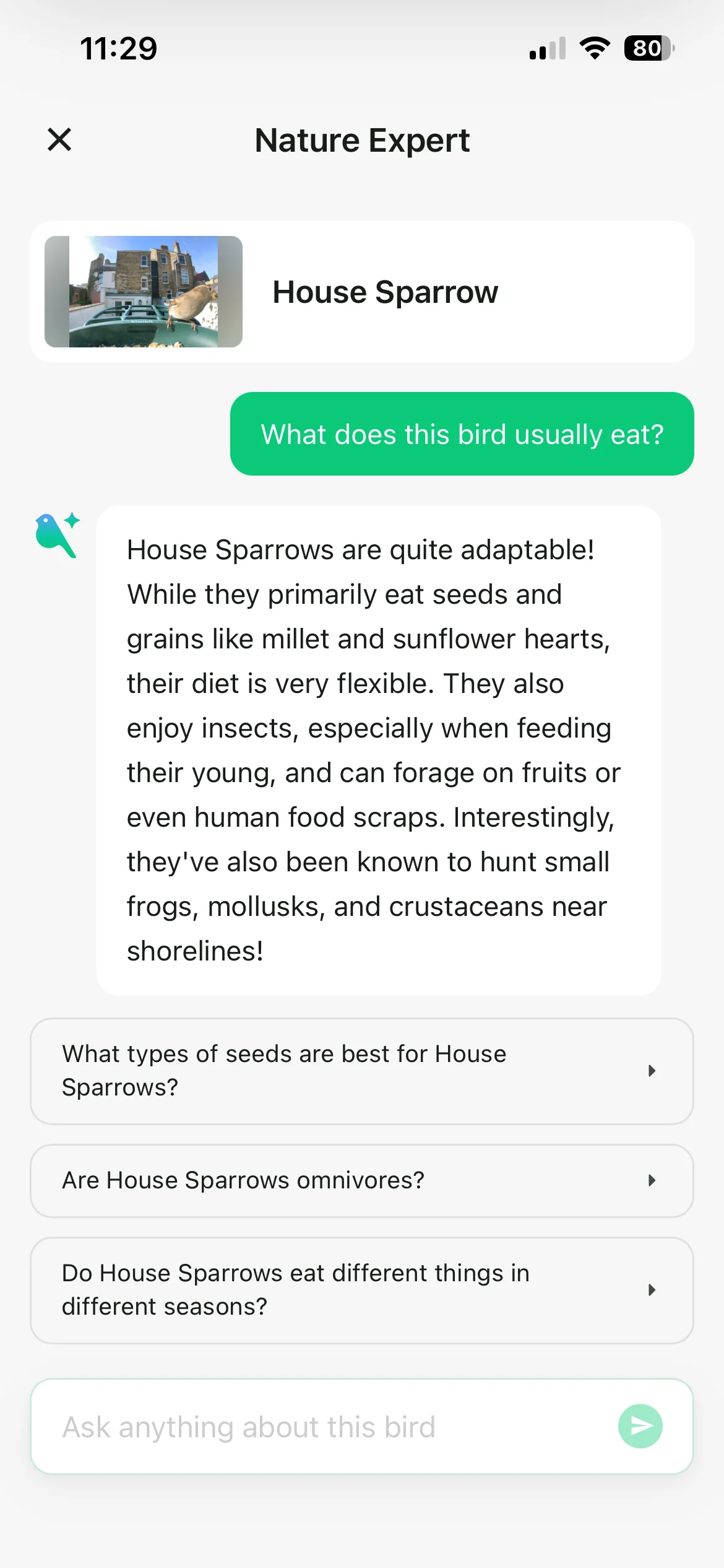 Kiwibit Bird Feeder 2 Pro app screenshots
