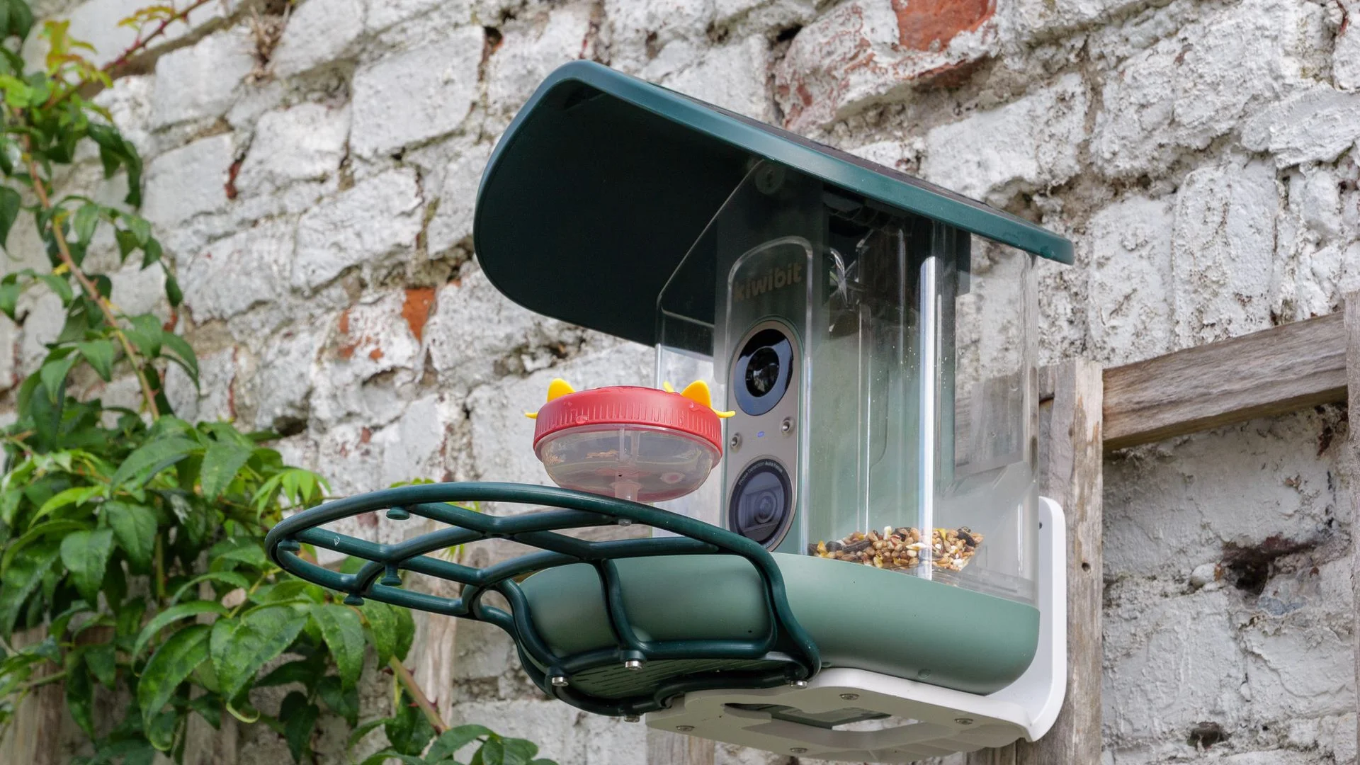 Kiwibit Bird Feeder 2 Pro bird feeder camera